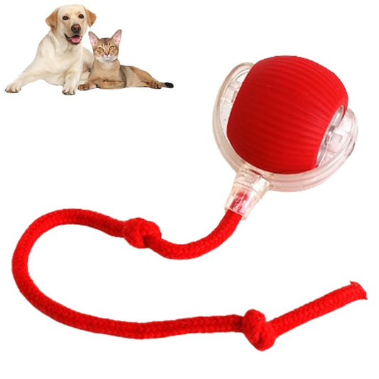 Spin Ball™ - Pet Ball Toy